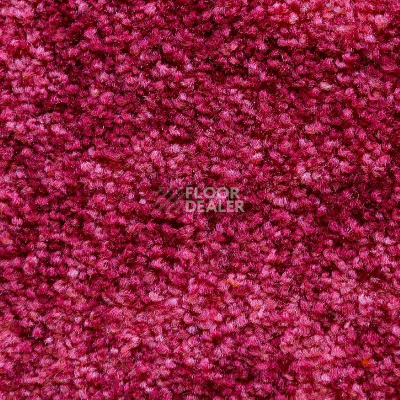 Ковролин AW Masquerade Palio 11 фото 1 | FLOORDEALER